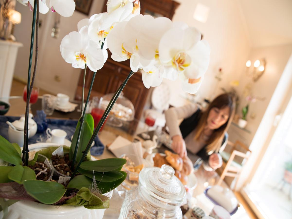 Casa Malena Bed & Breakfast Ascoli Piceno Bagian luar foto
